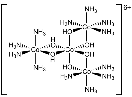四核 Hexol 阳离子带 6+ 电荷：轴上的中心 Co 由六个 μ-OH 配满，三个外围 Co 各连四个 NH3，并分别通过两个羟桥与中心 Co 相连；楔线和虚线表示任一对映体的空间结构